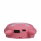 Power Bank Totoro 12000 mAh 1 USB